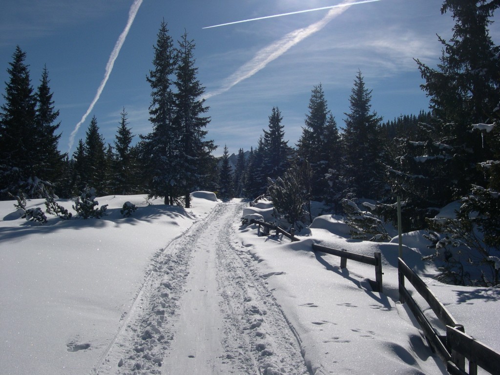 DSCN4189
